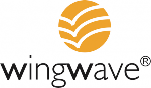 wingwave®-Coaching-Konzept, Herausragendes Leisten, wingwave®-Methode, wingwave®-Intervention, Belief-Coaching, Know-how-Coaching, Ressourcen-Coaching, Glaubenssätze