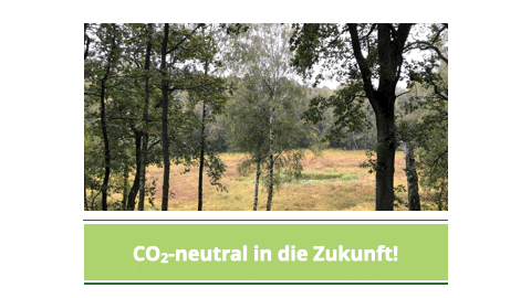 Animierte Bilder: Moorlandschaft – CO2-neutral in die Zukunft!, EUR-Zeichen auf einer Hand – Liquidität sichern!, springende Delphine – New Work gestalten!